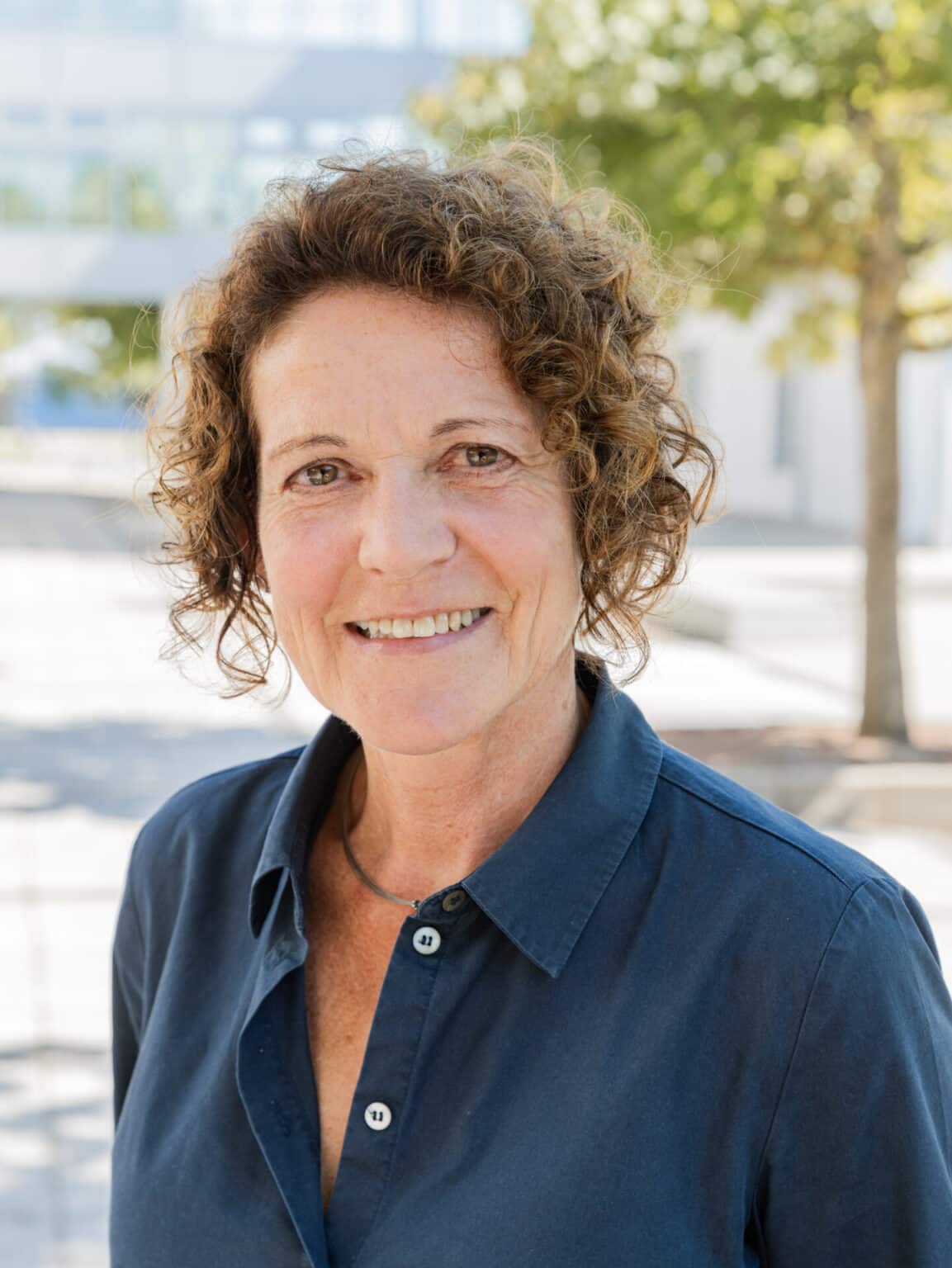 Realschule Niefern – Realschule Niefern